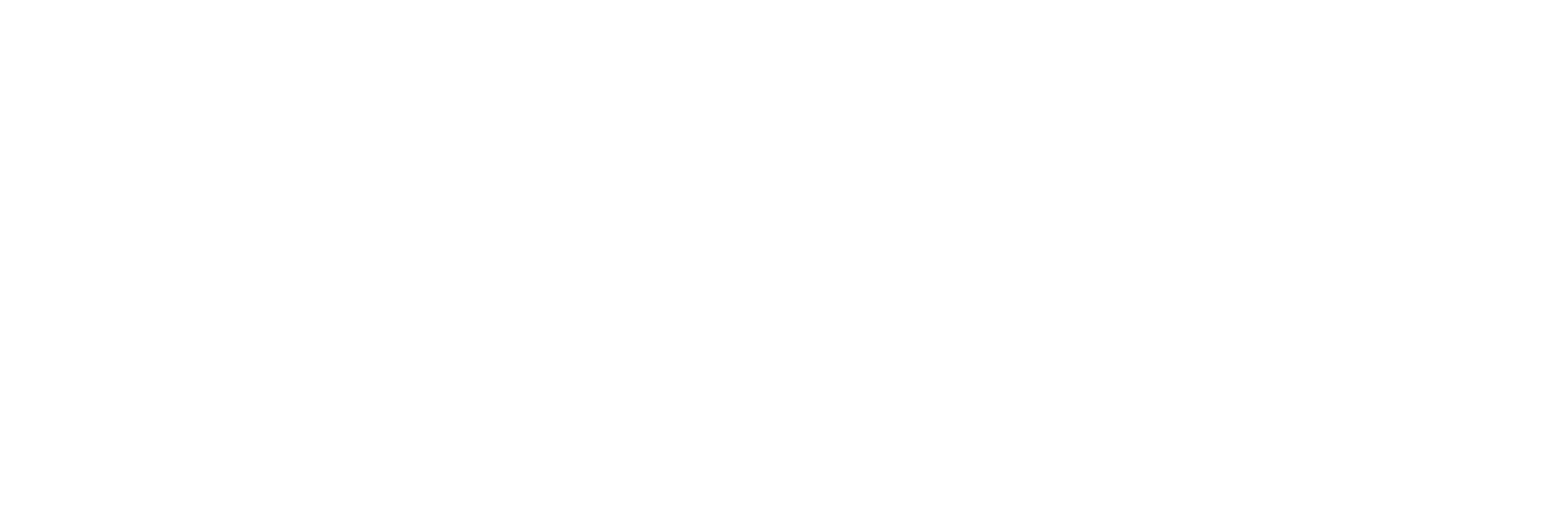 DEN Logo